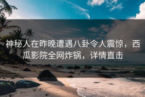 神秘人在昨晚遭遇八卦令人震惊，西瓜影院全网炸锅，详情直击
