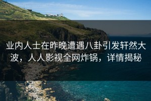 业内人士在昨晚遭遇八卦引发轩然大波，人人影视全网炸锅，详情揭秘