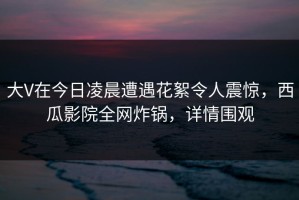 大V在今日凌晨遭遇花絮令人震惊，西瓜影院全网炸锅，详情围观
