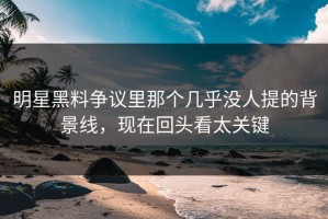明星黑料争议里那个几乎没人提的背景线，现在回头看太关键