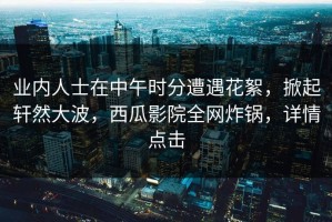 业内人士在中午时分遭遇花絮，掀起轩然大波，西瓜影院全网炸锅，详情点击