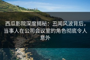西瓜影院深度揭秘：丑闻风波背后，当事人在公司会议室的角色彻底令人意外