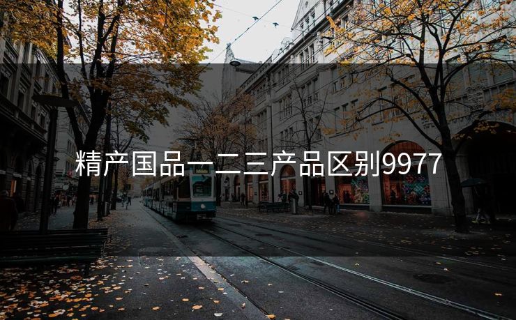 精产国品一二三产品区别9977 精产国品一二三产品区别9977